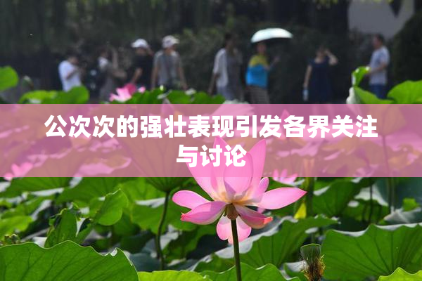 公次次的强壮表现引发各界关注与讨论