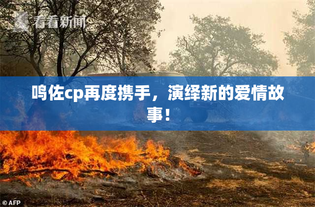 鸣佐cp再度携手，演绎新的爱情故事！