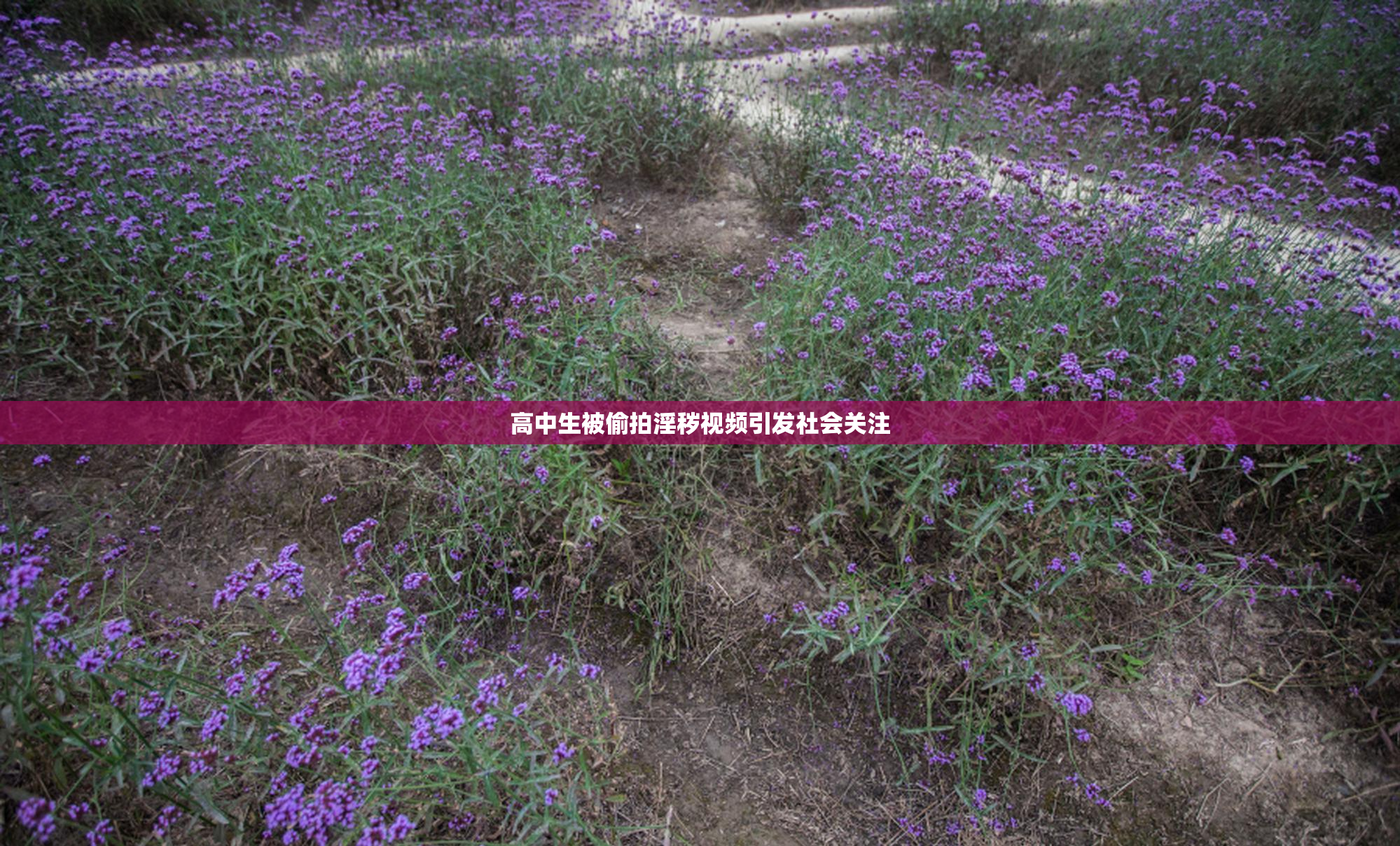高中生被偷拍淫秽视频引发社会关注