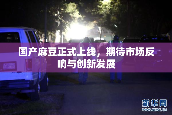国产麻豆正式上线，期待市场反响与创新发展