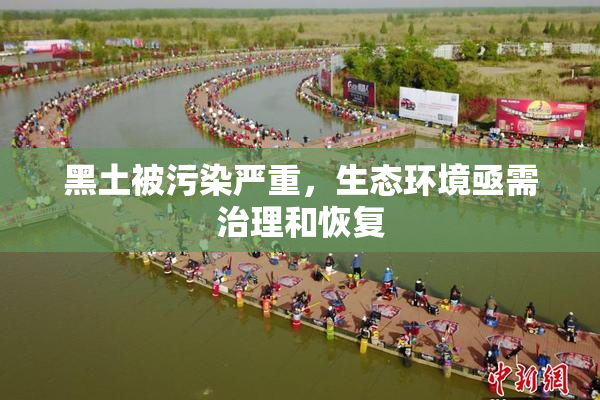 黑土被污染严重，生态环境亟需治理和恢复