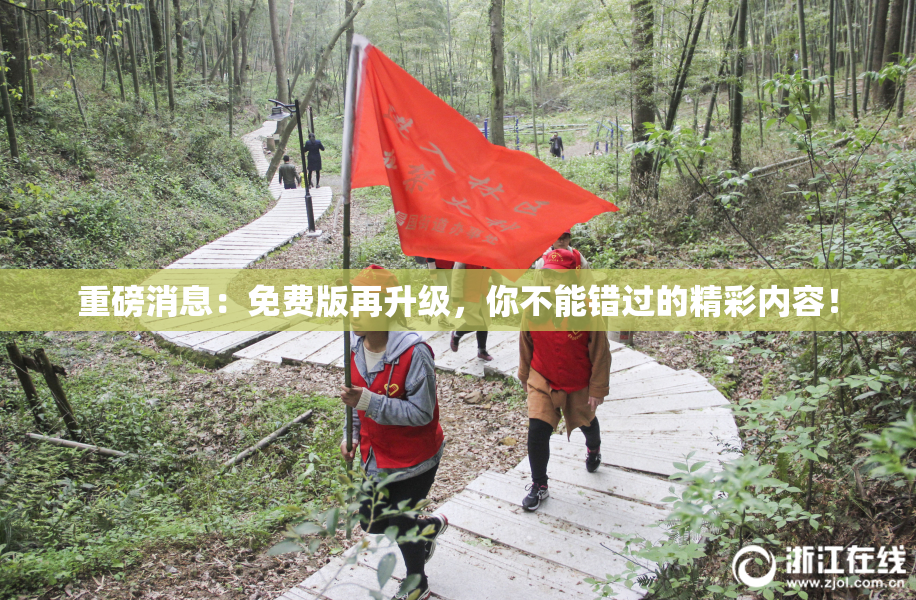重磅消息：免费版再升级，你不能错过的精彩内容！