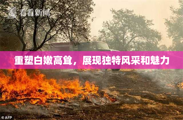 重塑白嫩高耸，展现独特风采和魅力