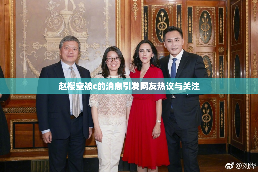 赵樱空被c的消息引发网友热议与关注