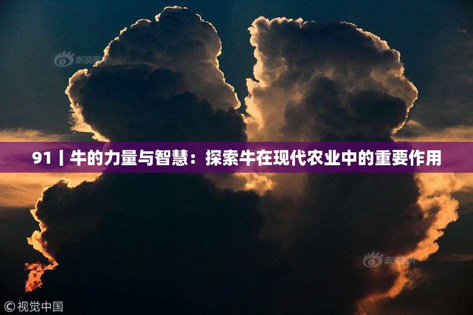 91丨牛的力量与智慧：探索牛在现代农业中的重要作用