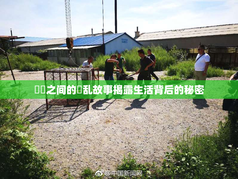 妺妺之间的婬乱故事揭露生活背后的秘密