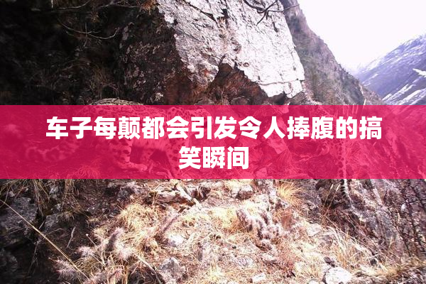 车子每颠都会引发令人捧腹的搞笑瞬间