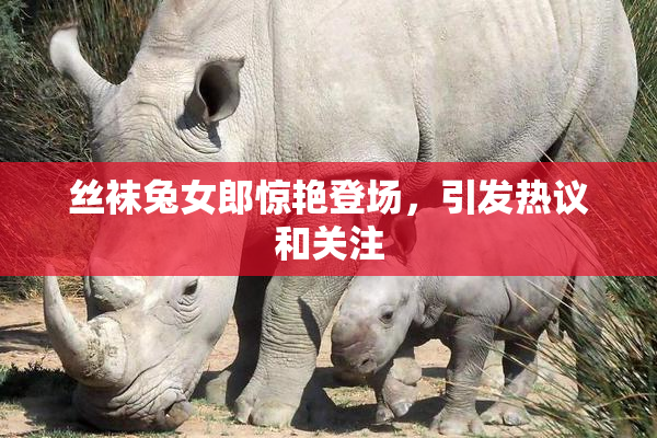 丝袜兔女郎惊艳登场，引发热议和关注
