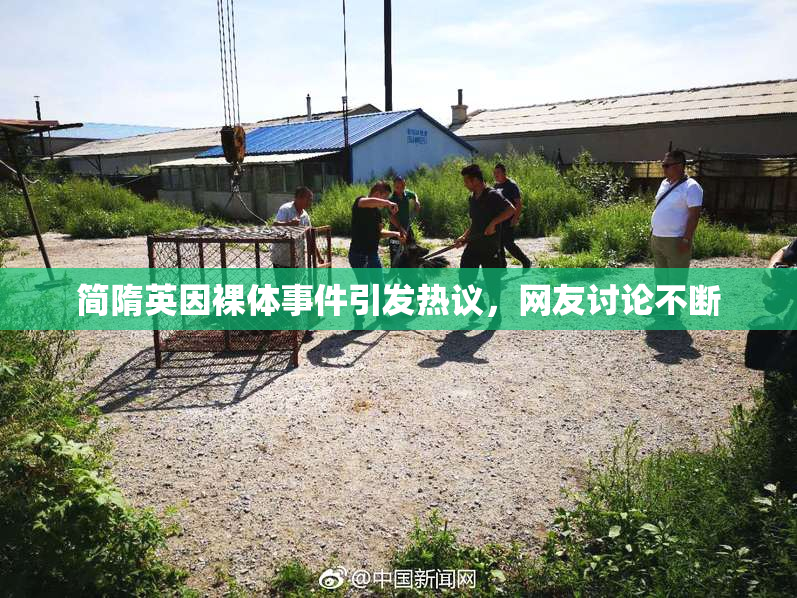 简隋英因裸体事件引发热议，网友讨论不断