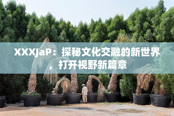 XXXJaP：探秘文化交融的新世界，打开视野新篇章