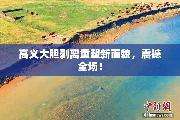 高义大胆剥离重塑新面貌，震撼全场！