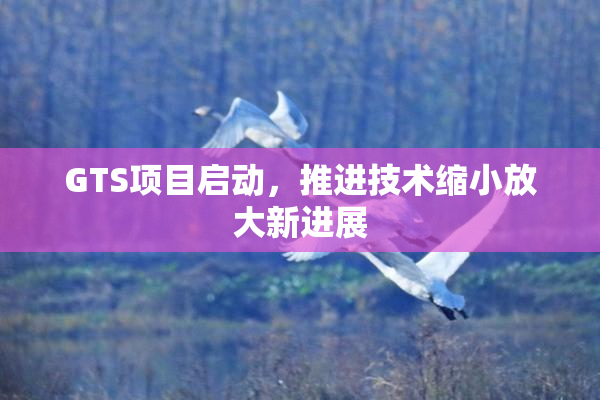 GTS项目启动，推进技术缩小放大新进展