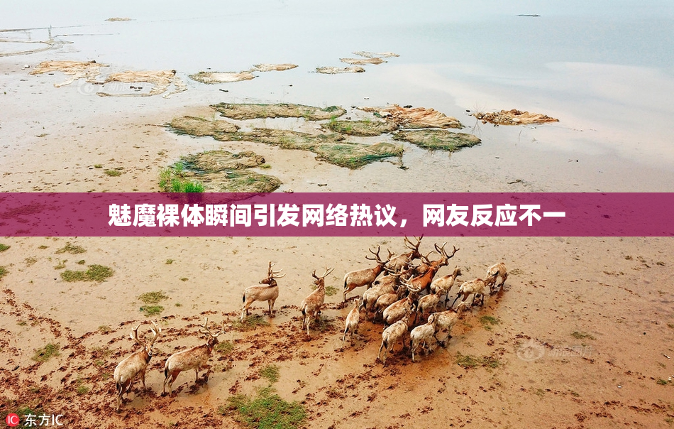 魅魔裸体瞬间引发网络热议，网友反应不一