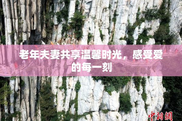 老年夫妻共享温馨时光，感受爱的每一刻