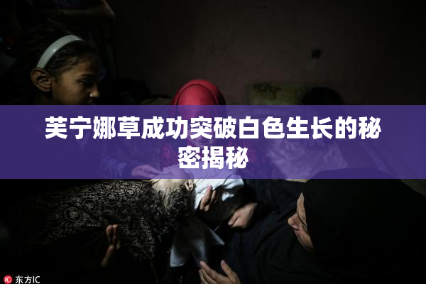 芙宁娜草成功突破白色生长的秘密揭秘