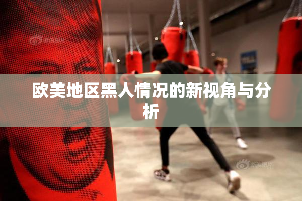 欧美地区黑人情况的新视角与分析