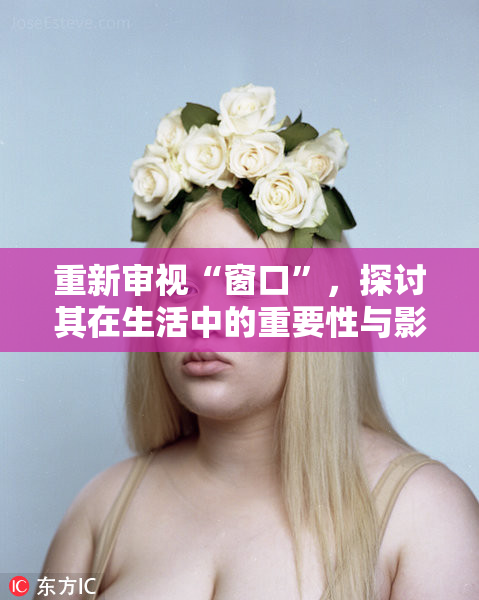 重新审视“窗口”，探讨其在生活中的重要性与影响