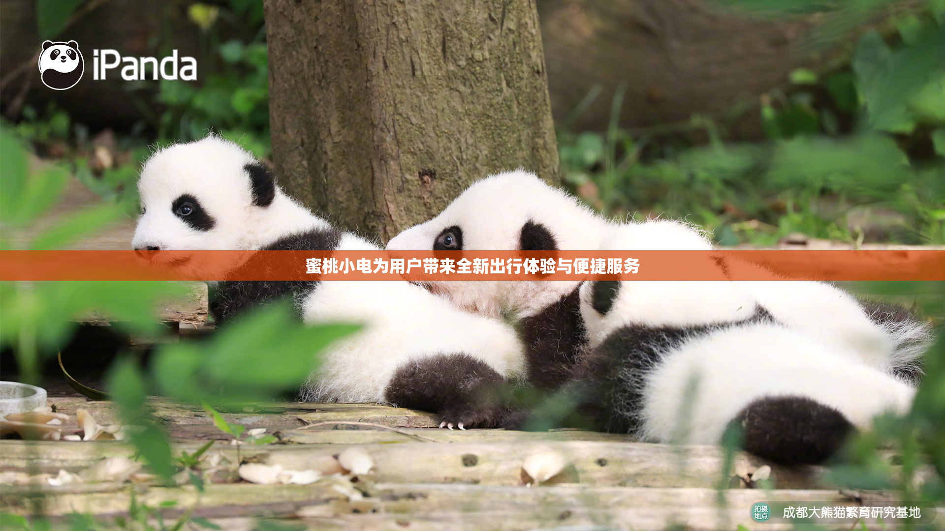 蜜桃小电为用户带来全新出行体验与便捷服务