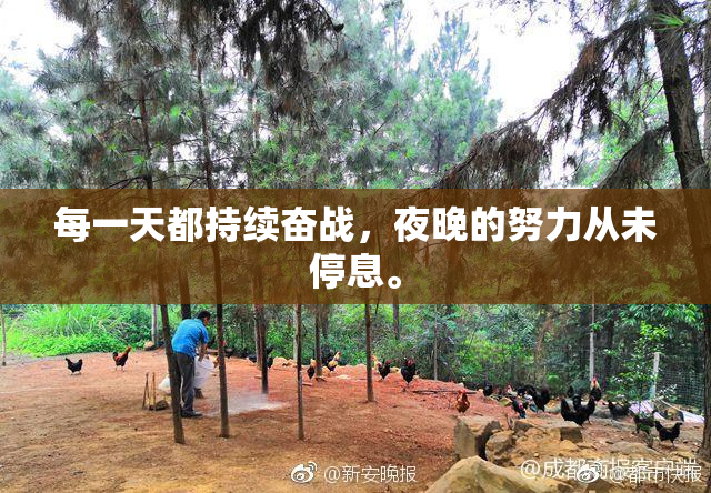每一天都持续奋战，夜晚的努力从未停息。