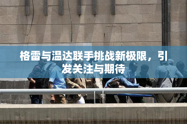 格雷与温达联手挑战新极限，引发关注与期待