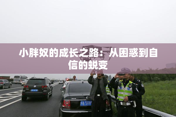 小胖奴的成长之路：从困惑到自信的蜕变