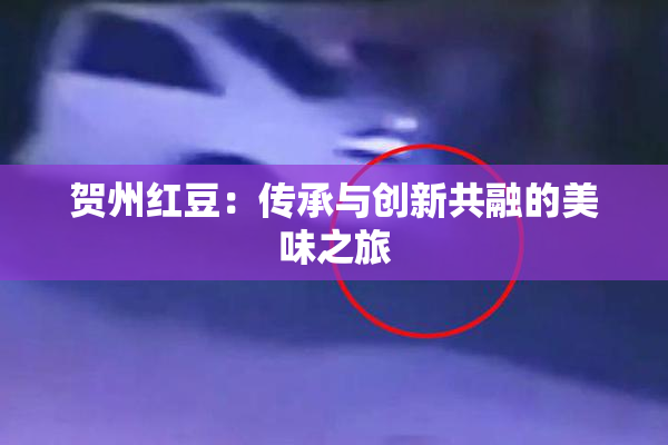贺州红豆：传承与创新共融的美味之旅