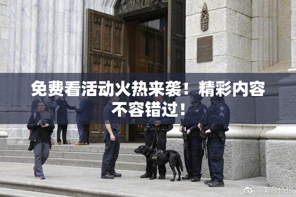 免费看活动火热来袭！精彩内容不容错过！