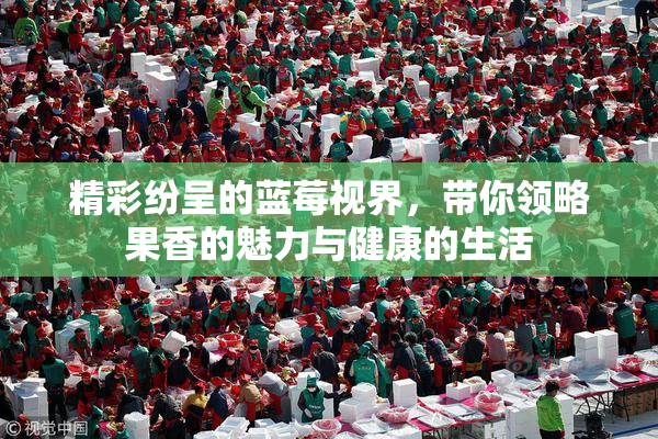 精彩纷呈的蓝莓视界，带你领略果香的魅力与健康的生活
