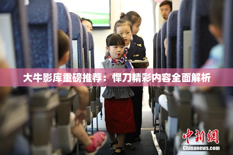 大牛影库重磅推荐：悍刀精彩内容全面解析