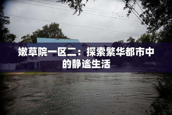 嫩草院一区二：探索繁华都市中的静谧生活