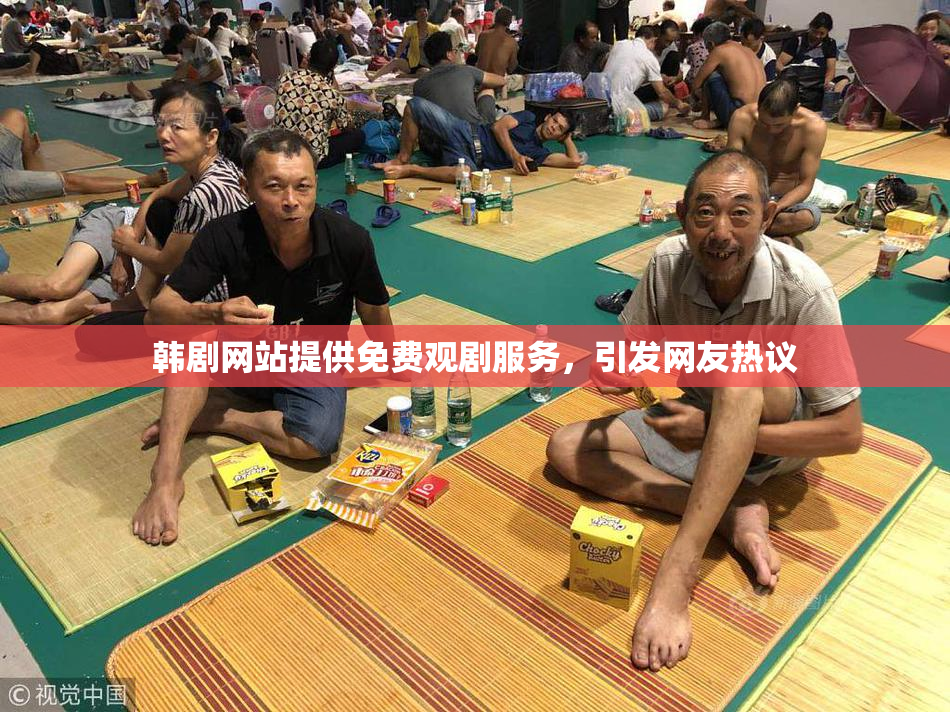 韩剧网站提供免费观剧服务，引发网友热议