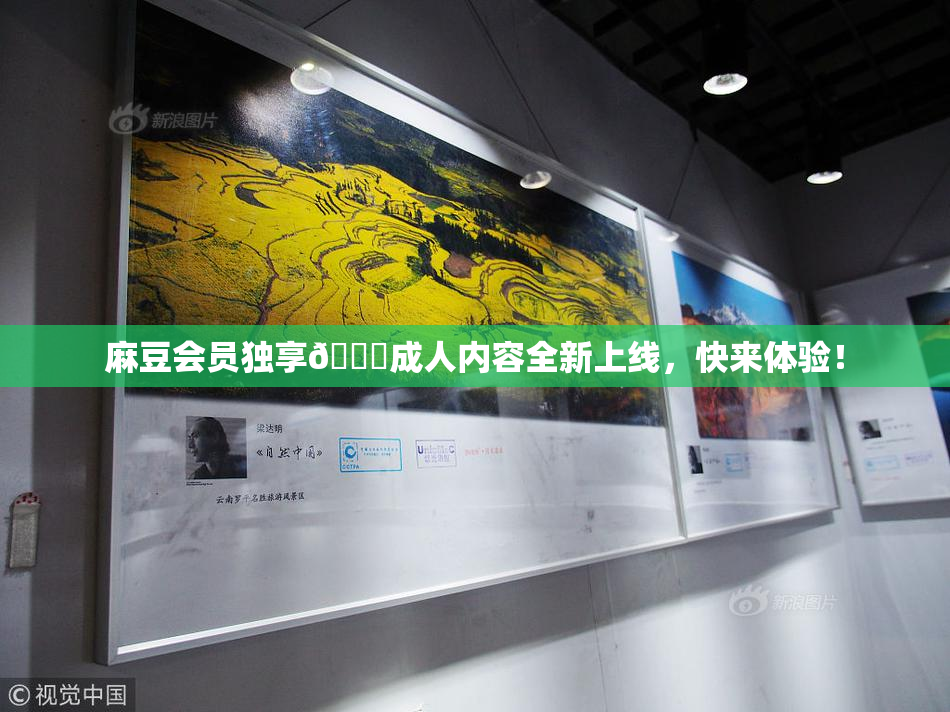 麻豆会员独享🔞成人内容全新上线，快来体验！