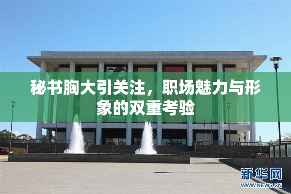 秘书胸大引关注，职场魅力与形象的双重考验