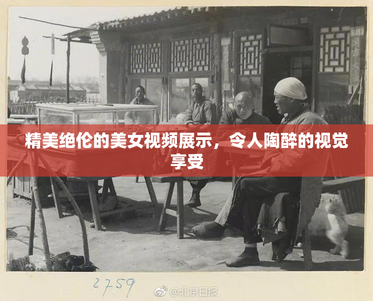 精美绝伦的美女视频展示，令人陶醉的视觉享受