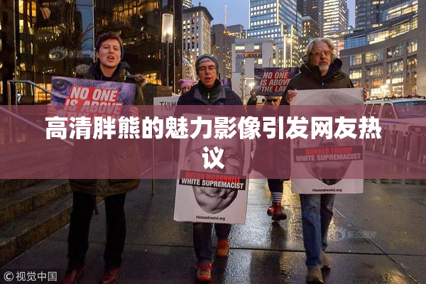 高清胖熊的魅力影像引发网友热议