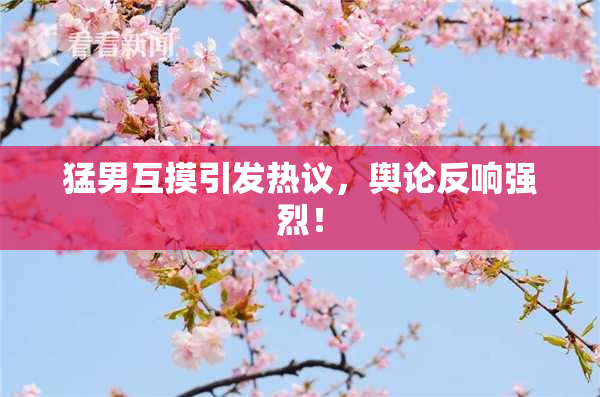 猛男互摸引发热议，舆论反响强烈！