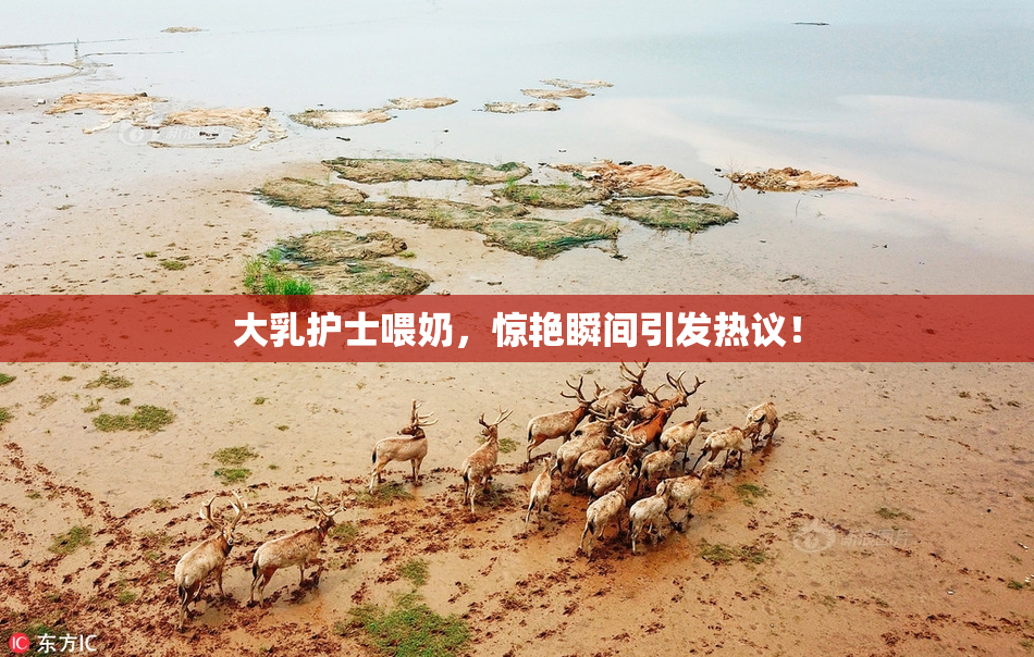 大乳护士喂奶，惊艳瞬间引发热议！