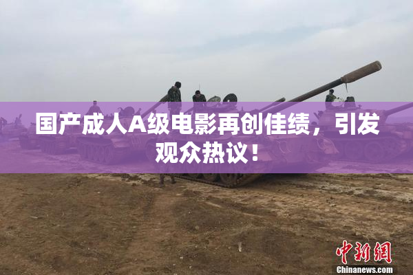 国产成人A级电影再创佳绩，引发观众热议！