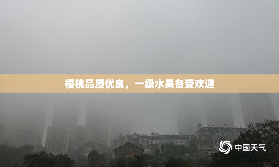 樱桃品质优良，一级水果备受欢迎