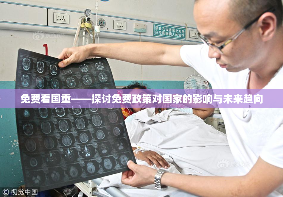 免费看国重——探讨免费政策对国家的影响与未来趋向