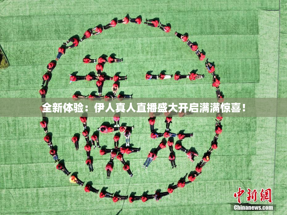 全新体验：伊人真人直播盛大开启满满惊喜！