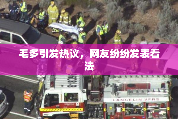 毛多引发热议，网友纷纷发表看法