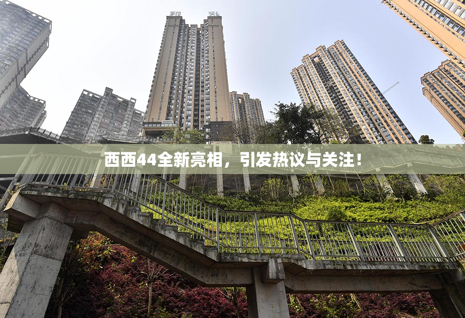 西西44全新亮相，引发热议与关注！