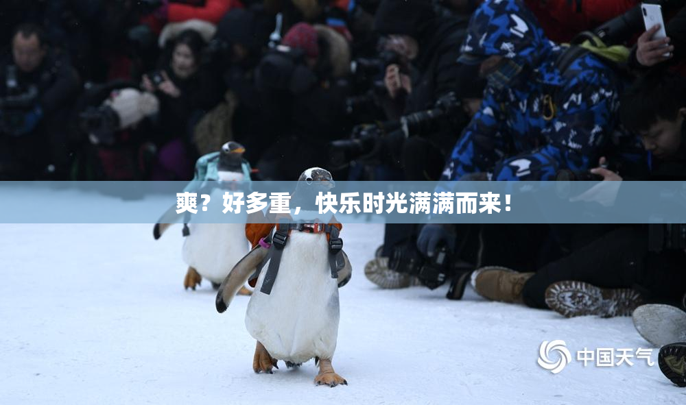 爽？好多重，快乐时光满满而来！