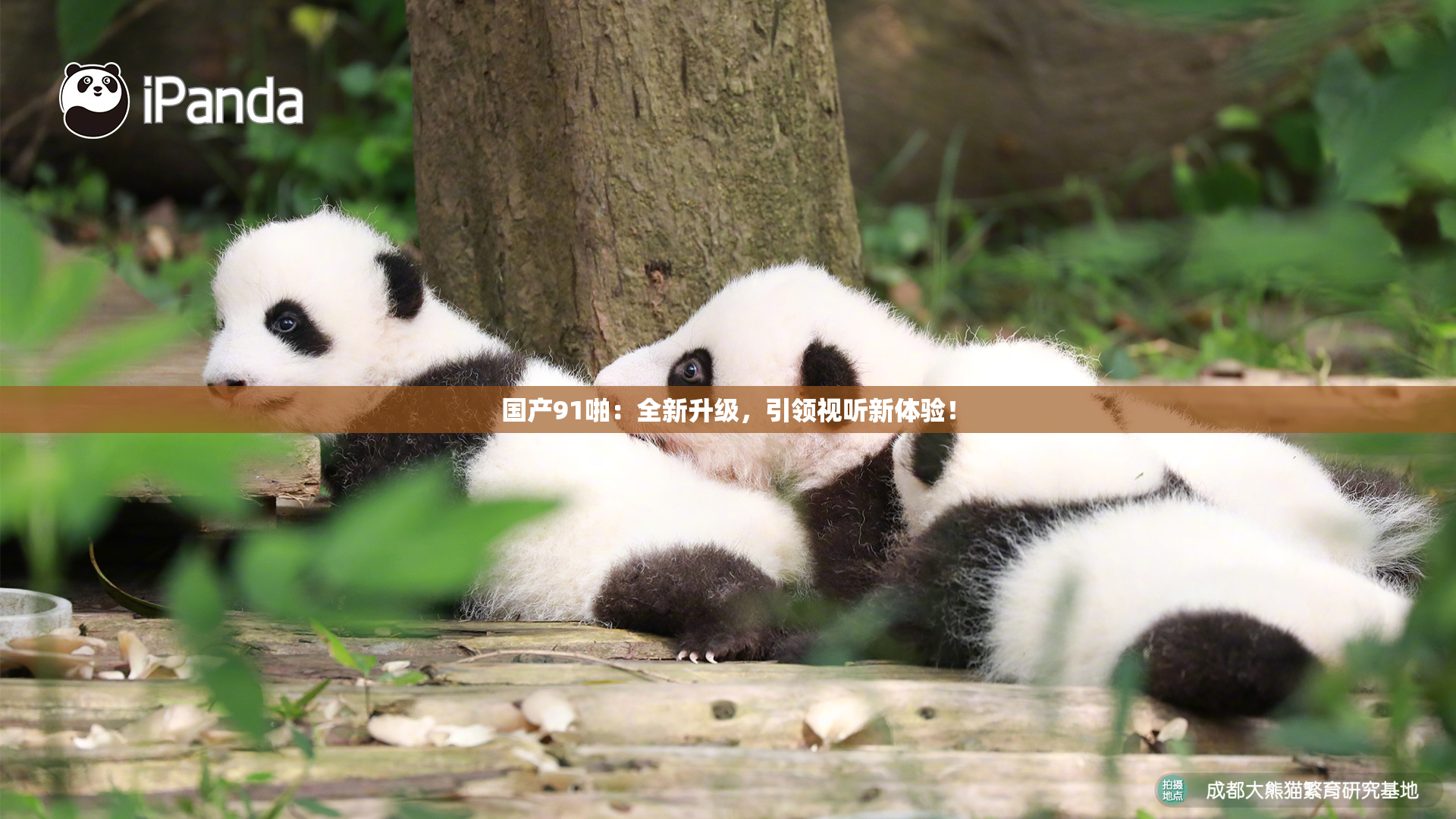 国产91啪：全新升级，引领视听新体验！
