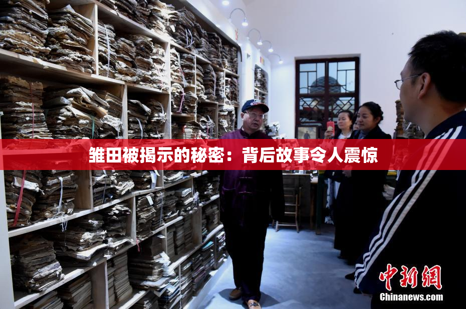 雏田被揭示的秘密：背后故事令人震惊