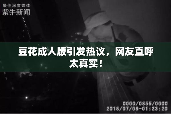 豆花成人版引发热议，网友直呼太真实！