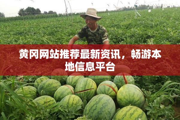 黄冈网站推荐最新资讯，畅游本地信息平台