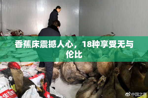 香蕉床震撼人心，18种享受无与伦比