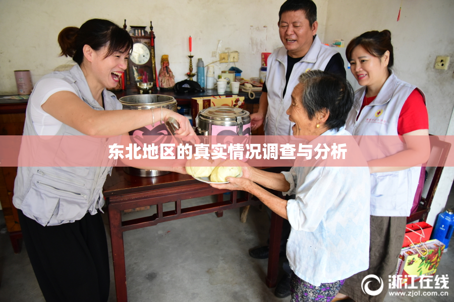 东北地区的真实情况调查与分析